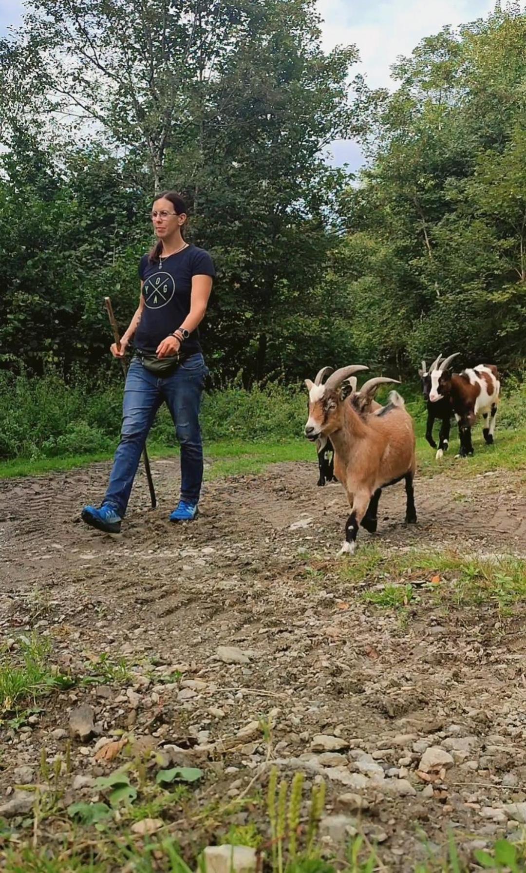 Villa Almhuette Auszeit Donnersbachwald Esterno foto