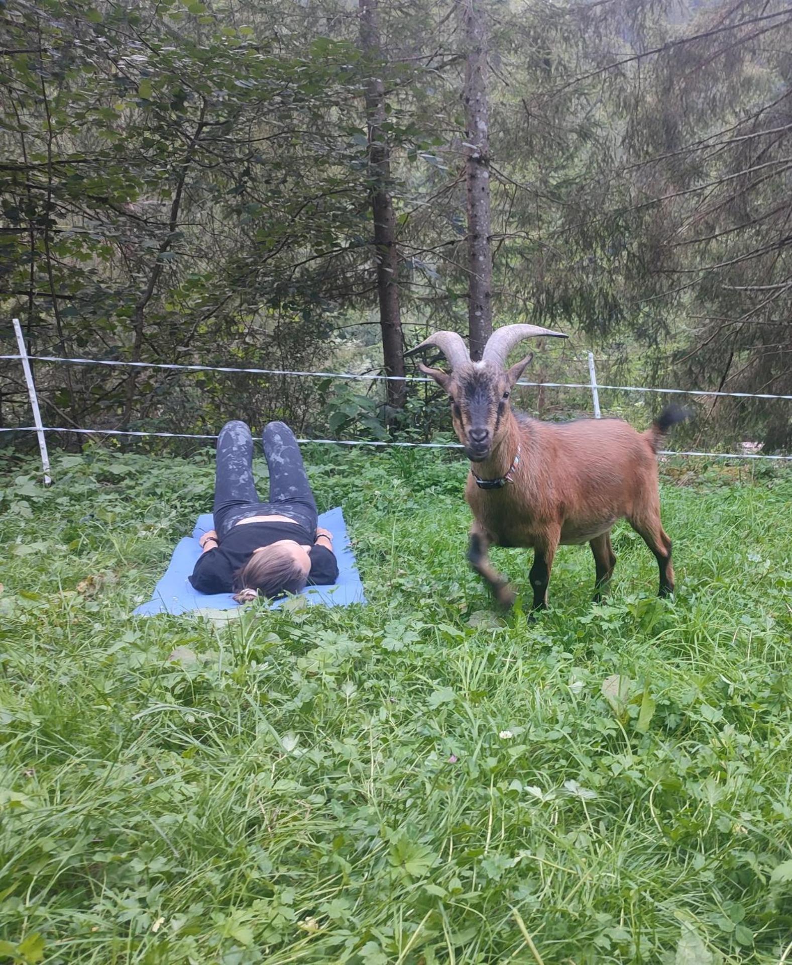 Villa Almhuette Auszeit Donnersbachwald Esterno foto